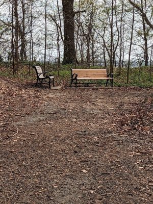 Polk Park