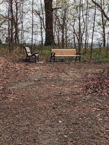 Polk Park