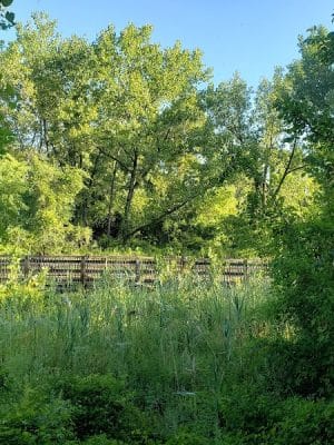 Potomac Greens Park