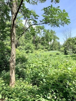 Potomac Greens Park