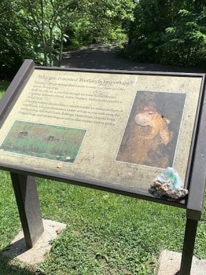 Potomac Greens Park