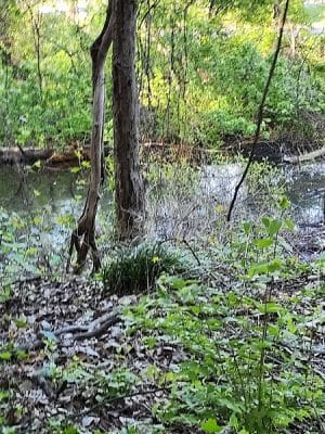 Potomac Greens Park