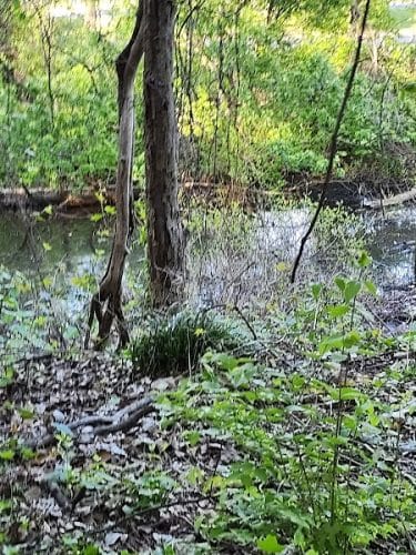 Potomac Greens Park