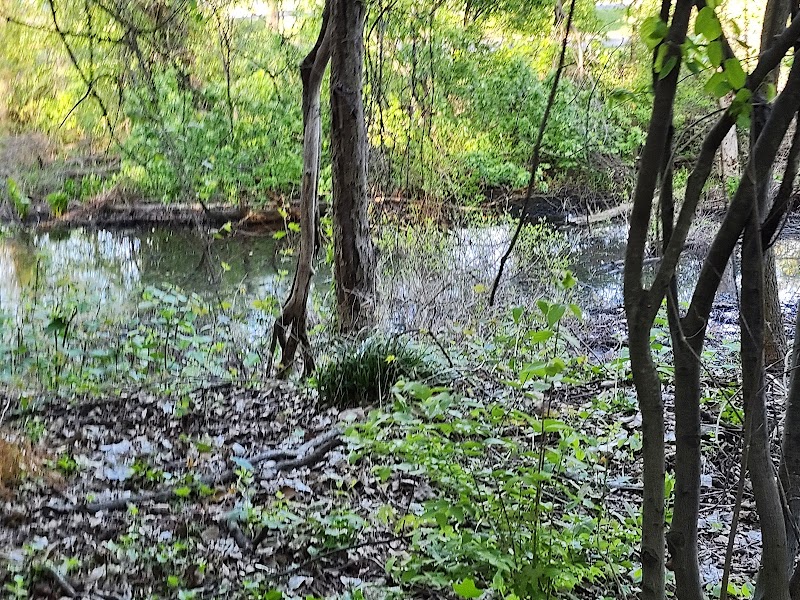 Potomac Greens Park - Alexandria, VA