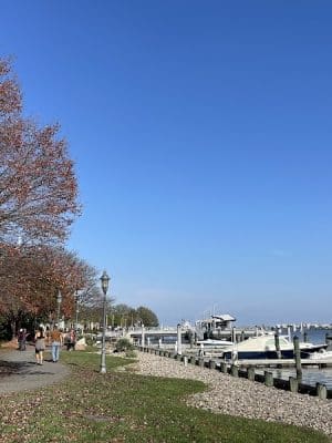 Roberdeau Park