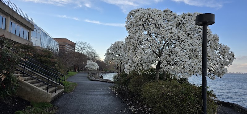 Tide Lock Park - Alexandria, VA