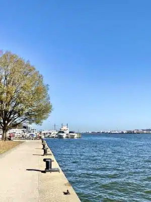 Waterfront Park