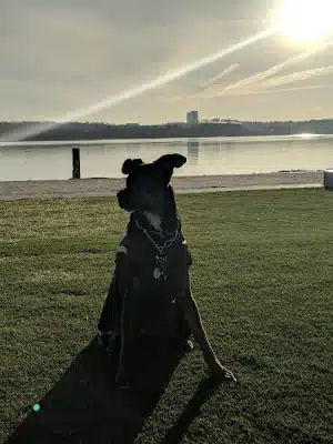 Waterfront Park