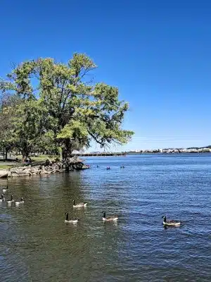 Waterfront Park