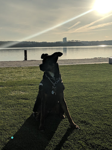 Waterfront Park