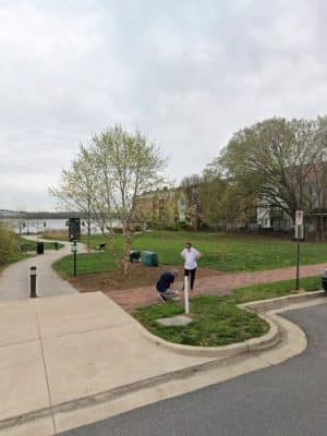 Windmill Hill Dog Park