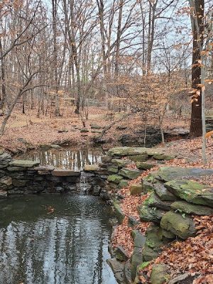 Winkler Botanical Preserve