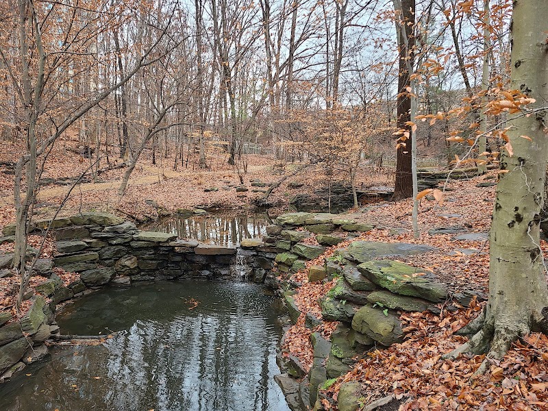 Winkler Botanical Preserve - Alexandria, VA