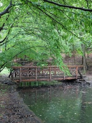 Winkler Botanical Preserve