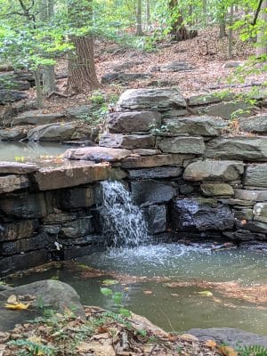 Winkler Botanical Preserve