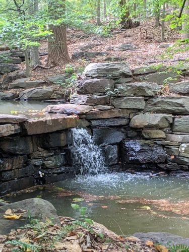 Winkler Botanical Preserve