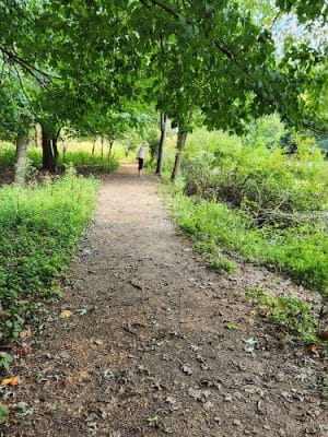 Winkler Botanical Preserve