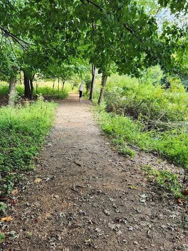 Winkler Botanical Preserve