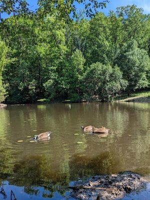 Winkler Botanical Preserve