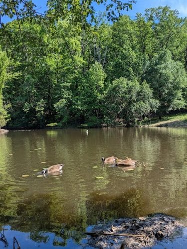 Winkler Botanical Preserve