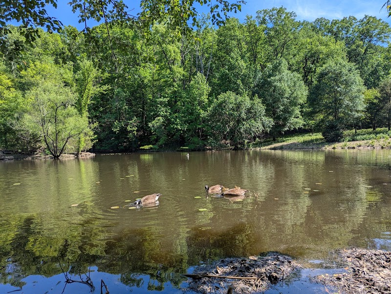 Winkler Botanical Preserve - Alexandria, VA