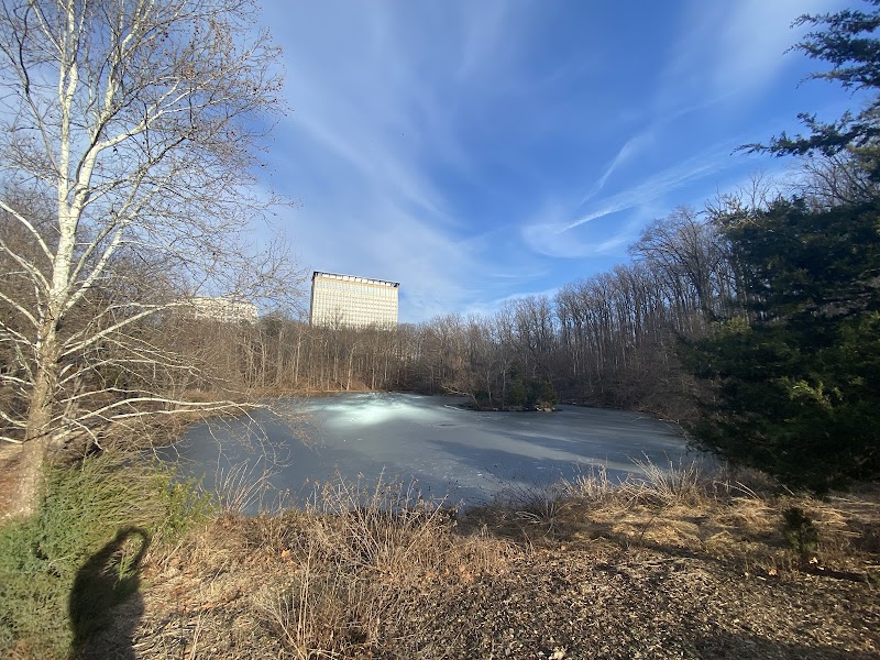 Winkler Botanical Preserve - Alexandria, VA