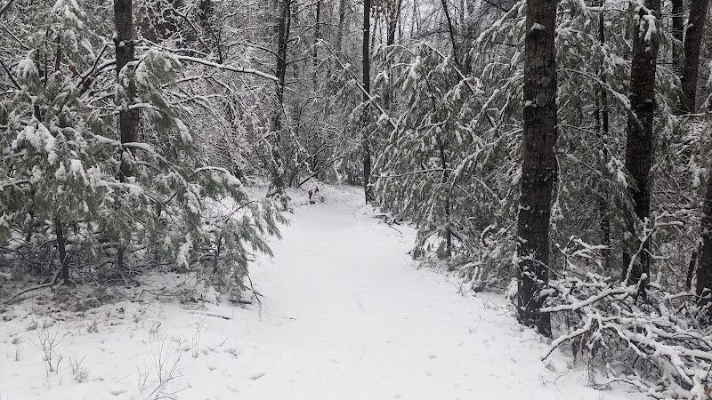 Bryan's Hiking Trail - Alger, MI