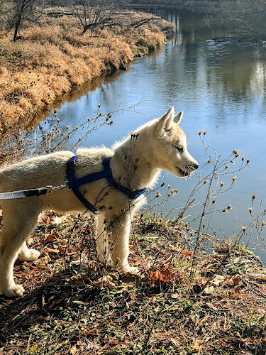 Bryan's Hiking Trail