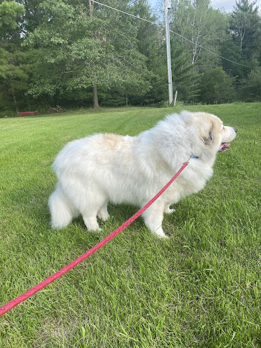 K9 Country Clipz