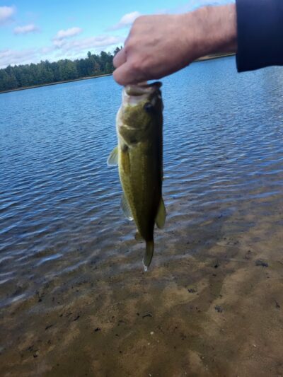 Oasis Lake Park & Campground - Alger, MI