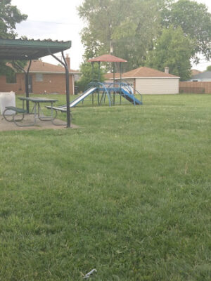 Gingham Dog Tot Park