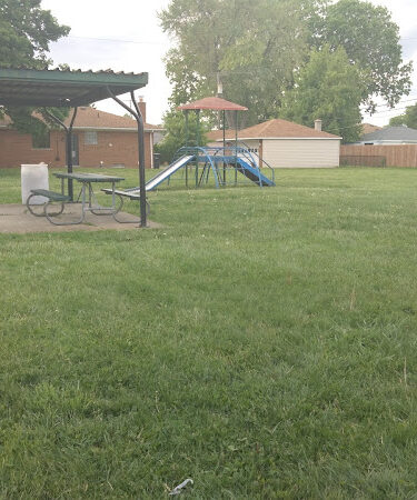 Gingham Dog Tot Park