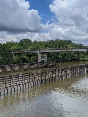 Lower Savannah River Alliance Greenway - Allendale, SC