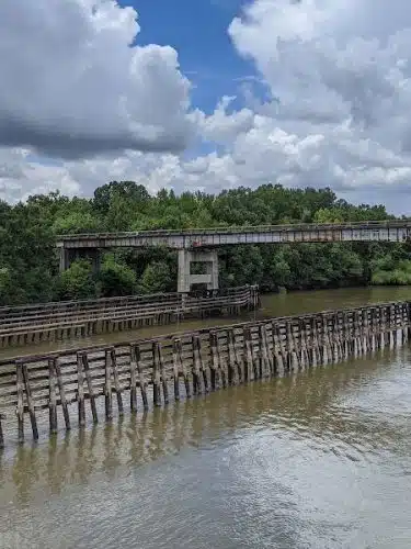 Lower Savannah River Alliance Greenway - Allendale, SC
