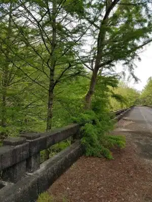 Lower Savannah River Alliance Greenway - Allendale, SC