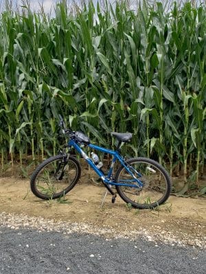 Union Transportation Trail