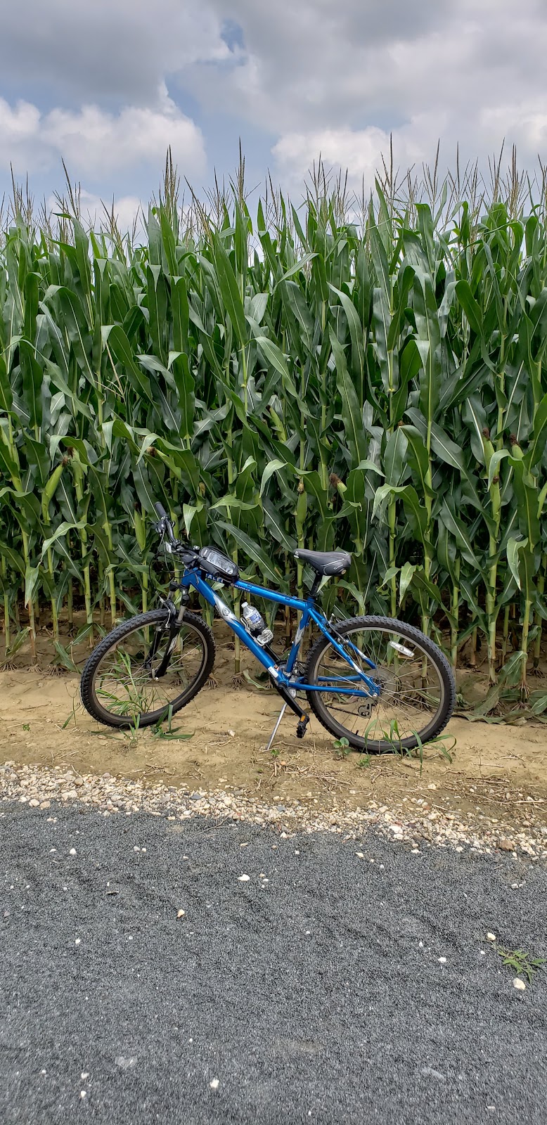 Union Transportation Trail - Allentown, NJ