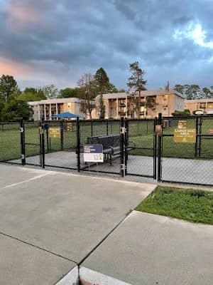 Dog run