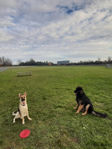 Upper Macungie Grange Park Dog Park