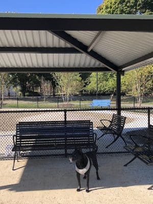 Soldiers Field Road Dog Park