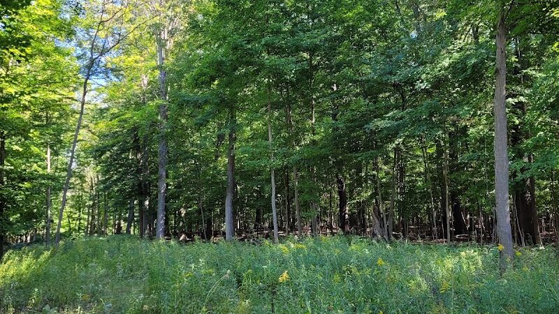 Alma Mountain Bike Trail - Alma,