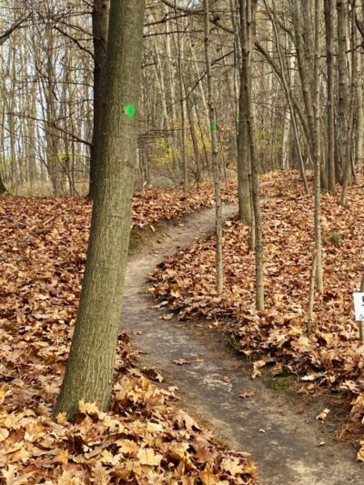 Alma Mountain Bike Trail - Alma,