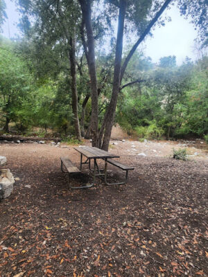 Bear Canyon Campground