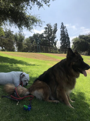 Charles S. Farnsworth Park