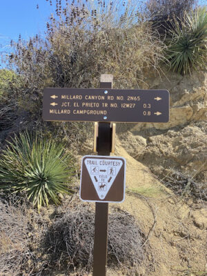 Millard canyon
