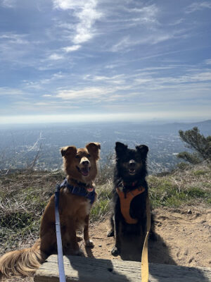 Mt Lowe Rd Trailhead