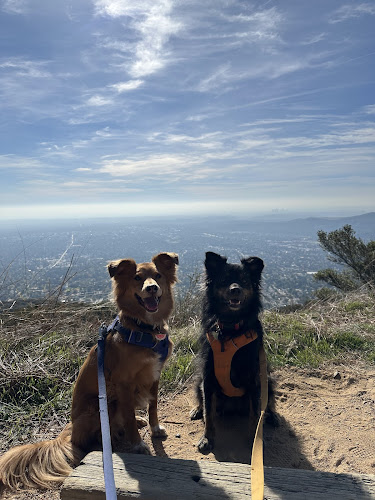 Mt Lowe Rd Trailhead