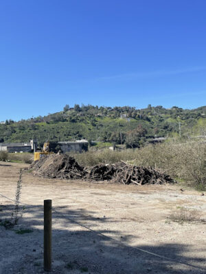 Riparian Zone
