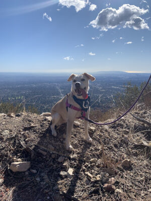 Sunset Ridge Trail