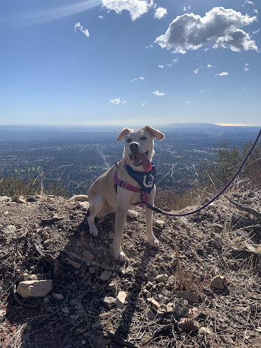 Sunset Ridge Trail